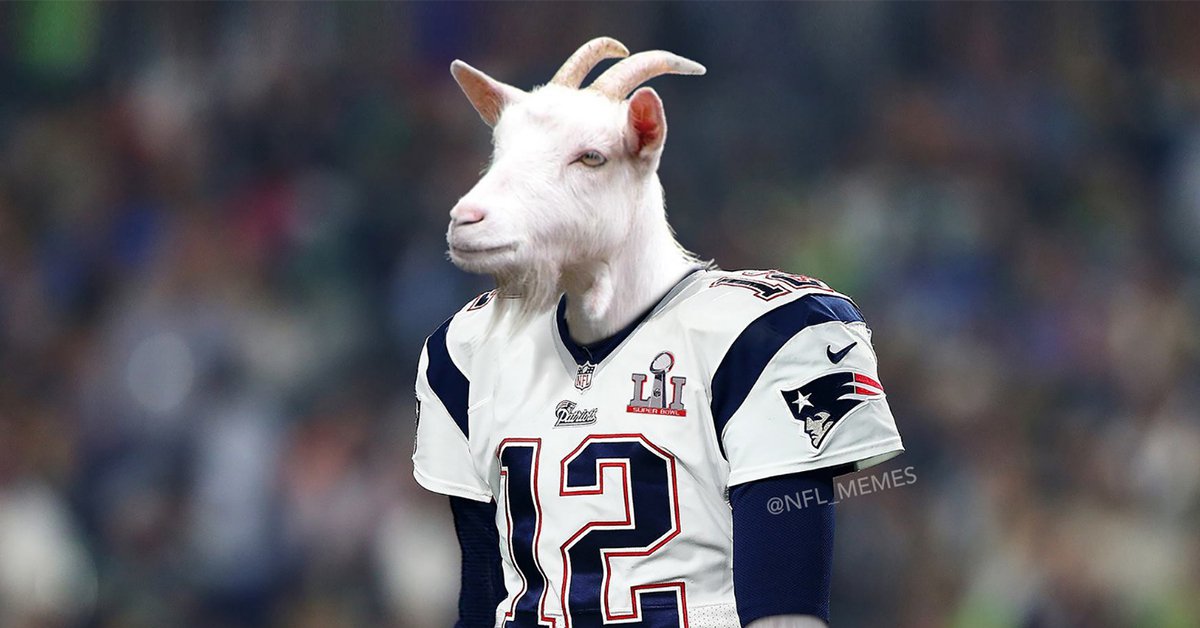 Brady-Goat.jpg